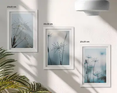Jemné púpavy s kvapkami vody triptych v ráme