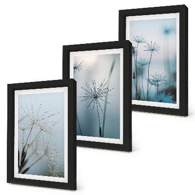 Triptych v ráme Jemné púpavy s kvapkami vody