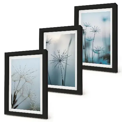 Jemné púpavy s kvapkami vody triptych v ráme