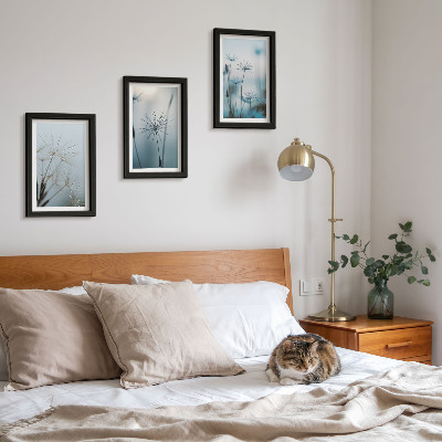 Triptych v ráme Jemné púpavy s kvapkami vody