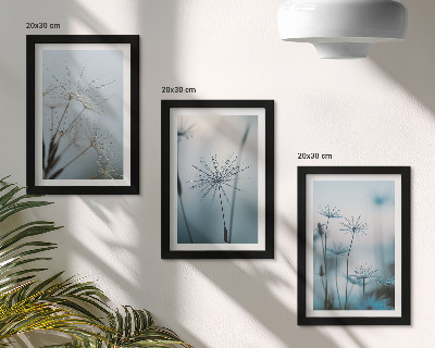 Triptych v ráme Jemné púpavy s kvapkami vody