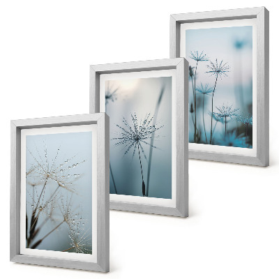 Triptych v ráme Jemné púpavy s kvapkami vody