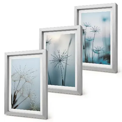 Jemné púpavy s kvapkami vody triptych v ráme