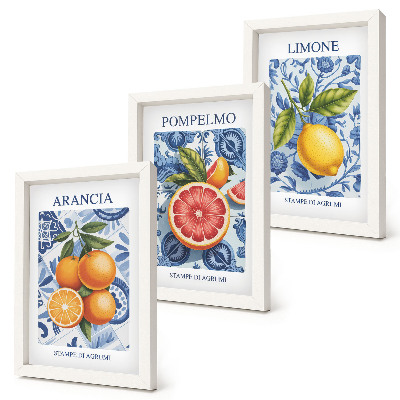 Sada obrazov do obývačky Ilustrácie vintage citrusových plodov