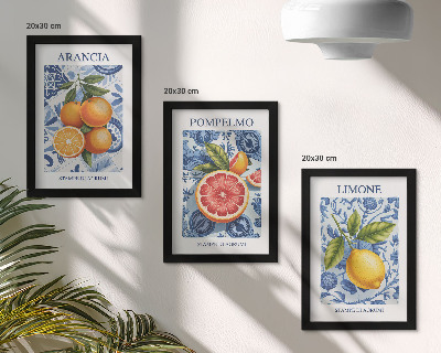 Sada obrazov do obývačky Ilustrácie vintage citrusových plodov