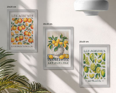 Triptych v ráme Citrusové plody v rôznych farebných a sviežich prevedeniach