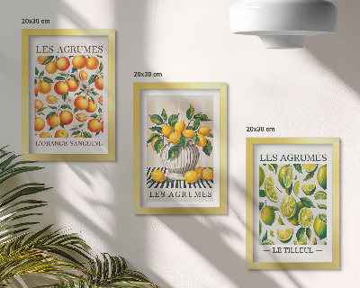 Triptych v ráme Citrusové plody v rôznych farebných a sviežich prevedeniach