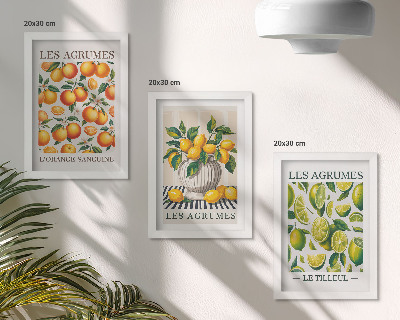 Triptych v ráme Citrusové plody v rôznych farebných a sviežich prevedeniach