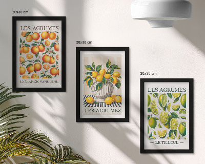 Triptych v ráme Citrusové plody v rôznych farebných a sviežich prevedeniach