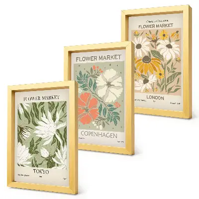Kvetinové motívy z rôznych miest sveta triptych v ráme