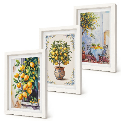 Triptych v ráme Citrónovníky a ovocie na slnečnom mieste