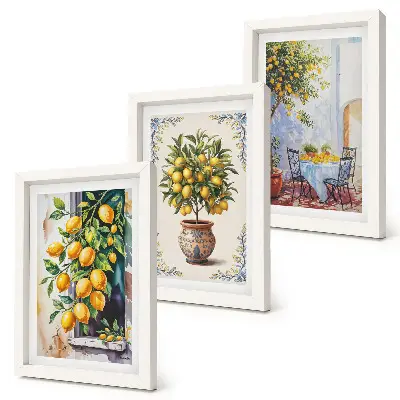 Citrónovníky a ovocie na slnečnom mieste triptych v ráme