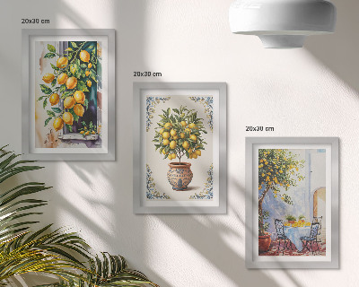 Triptych v ráme Citrónovníky a ovocie na slnečnom mieste