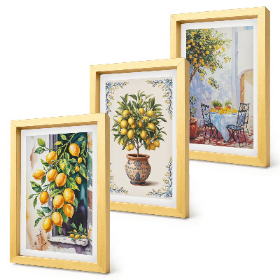 Triptych v ráme Citrónovníky a ovocie na slnečnom mieste
