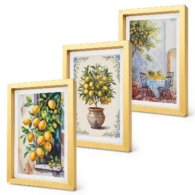 Citrónovníky a ovocie na slnečnom mieste triptych v ráme