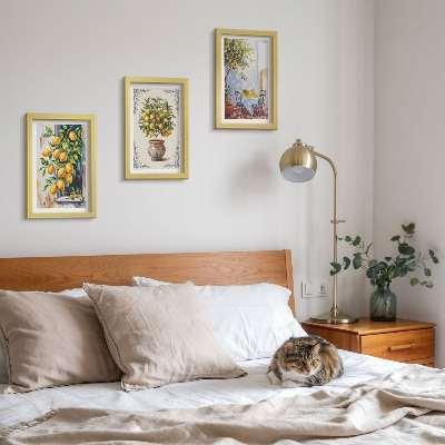 Triptych v ráme Citrónovníky a ovocie na slnečnom mieste