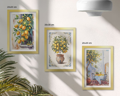 Triptych v ráme Citrónovníky a ovocie na slnečnom mieste
