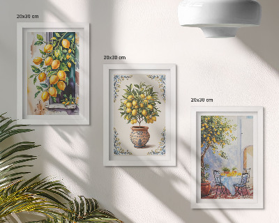 Triptych v ráme Citrónovníky a ovocie na slnečnom mieste