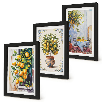 Triptych v ráme Citrónovníky a ovocie na slnečnom mieste