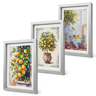 Triptych v ráme Citrónovníky a ovocie na slnečnom mieste