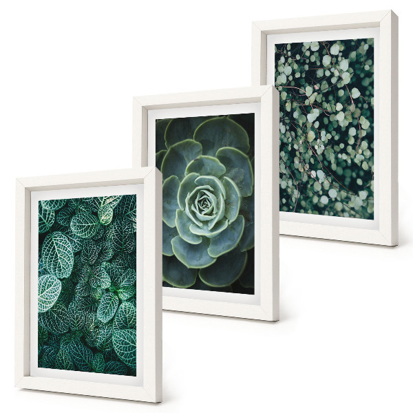 Triptych v ráme Zelené listy sukulentných rastlín a jemné vetvičky