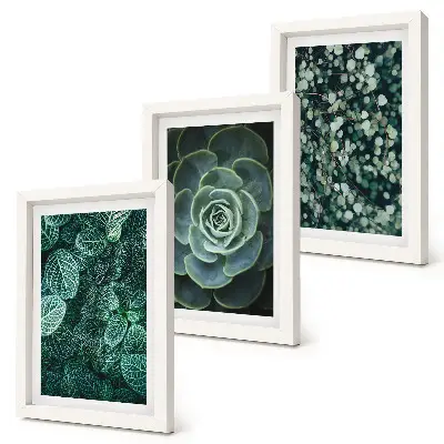 Triptych v ráme zelené listy sukulentov a jemné vetvičky