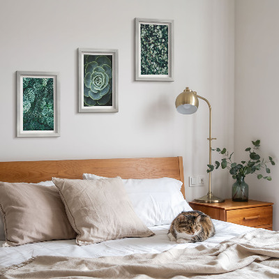 Triptych v ráme Zelené listy sukulentných rastlín a jemné vetvičky