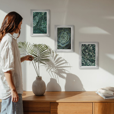 Triptych v ráme Zelené listy sukulentných rastlín a jemné vetvičky