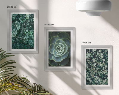 Triptych v ráme Zelené listy sukulentných rastlín a jemné vetvičky