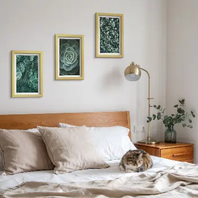Triptych v ráme zelené listy sukulentov a jemné vetvičky