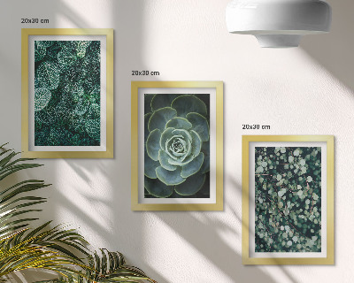 Triptych v ráme Zelené listy sukulentných rastlín a jemné vetvičky