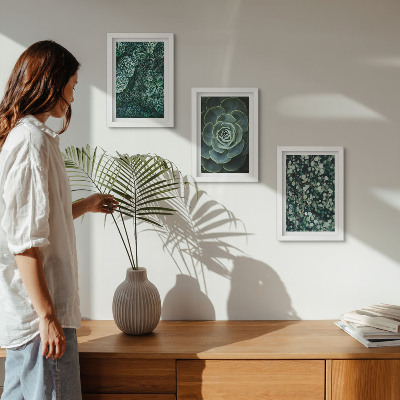 Triptych v ráme Zelené listy sukulentných rastlín a jemné vetvičky