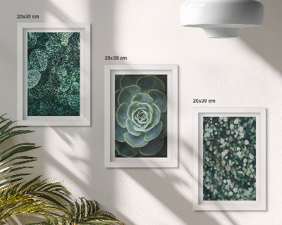 Triptych v ráme Zelené listy sukulentných rastlín a jemné vetvičky