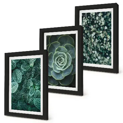 Triptych v ráme zelené listy sukulentov a jemné vetvičky