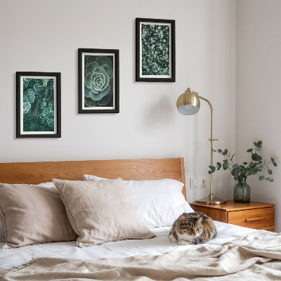 Triptych v ráme Zelené listy sukulentných rastlín a jemné vetvičky
