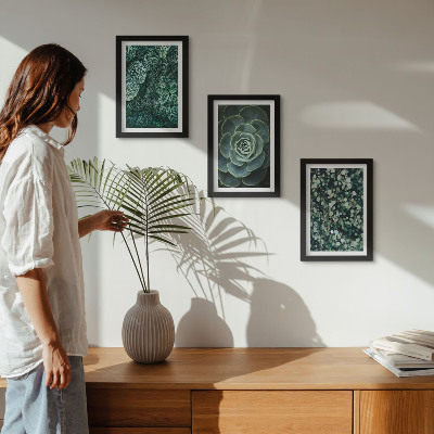 Triptych v ráme Zelené listy sukulentných rastlín a jemné vetvičky
