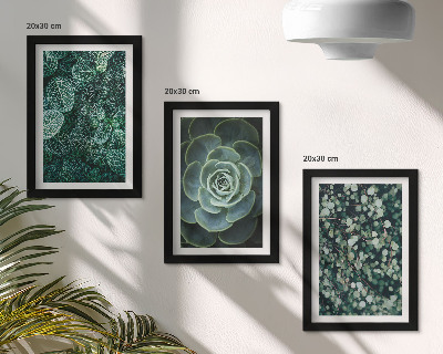 Triptych v ráme Zelené listy sukulentných rastlín a jemné vetvičky