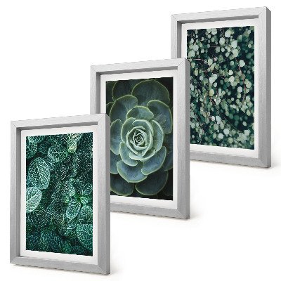 Triptych v ráme Zelené listy sukulentných rastlín a jemné vetvičky