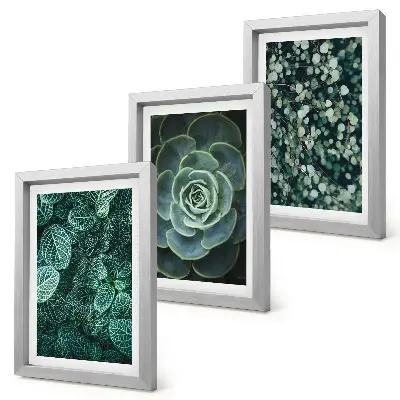 Triptych v ráme zelené listy sukulentov a jemné vetvičky