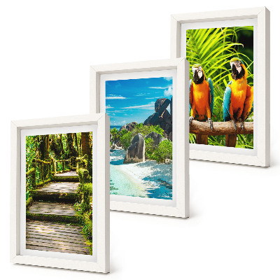 Triptych v ráme Tropický les s vodopádom a farebnými papagájmi