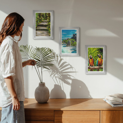 Triptych v ráme Tropický les s vodopádom a farebnými papagájmi