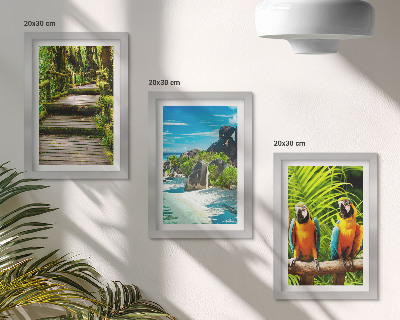 Triptych v ráme Tropický les s vodopádom a farebnými papagájmi