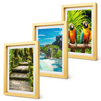 Triptych v ráme Tropický les s vodopádom a farebnými papagájmi