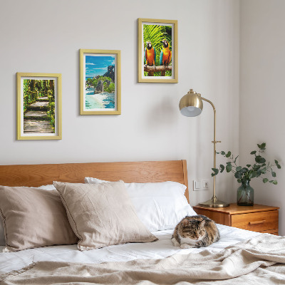 Triptych v ráme Tropický les s vodopádom a farebnými papagájmi