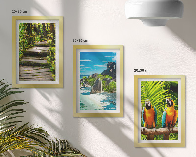 Triptych v ráme Tropický les s vodopádom a farebnými papagájmi