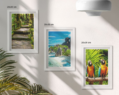 Triptych v ráme Tropický les s vodopádom a farebnými papagájmi
