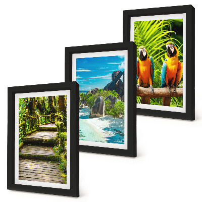 Triptych v ráme Tropický les s vodopádom a farebnými papagájmi