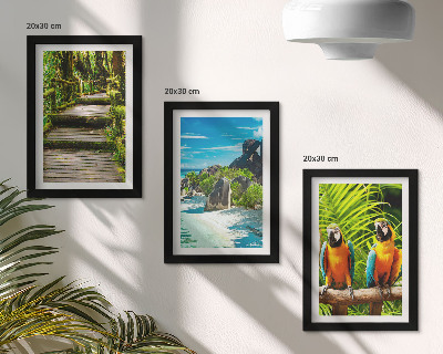 Triptych v ráme Tropický les s vodopádom a farebnými papagájmi