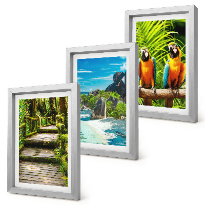Triptych v ráme Tropický les s vodopádom a farebnými papagájmi