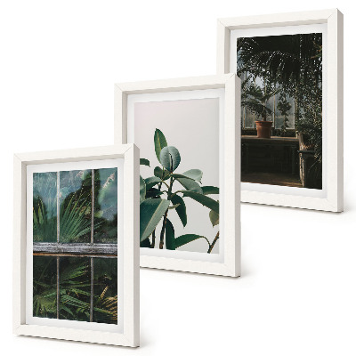 Triptych v ráme Zelené listy na okne a rastliny vo vnútri